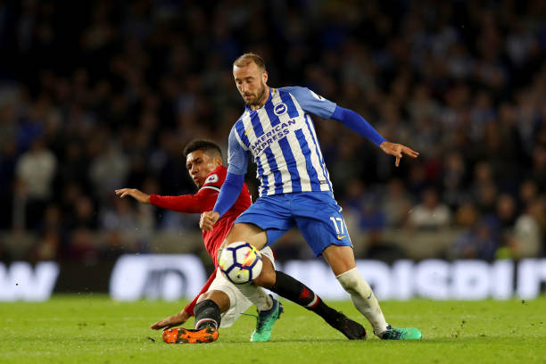 无疑已成为 无疑已成为